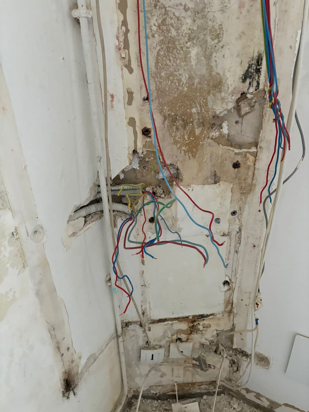 Rénovation électrique avant
